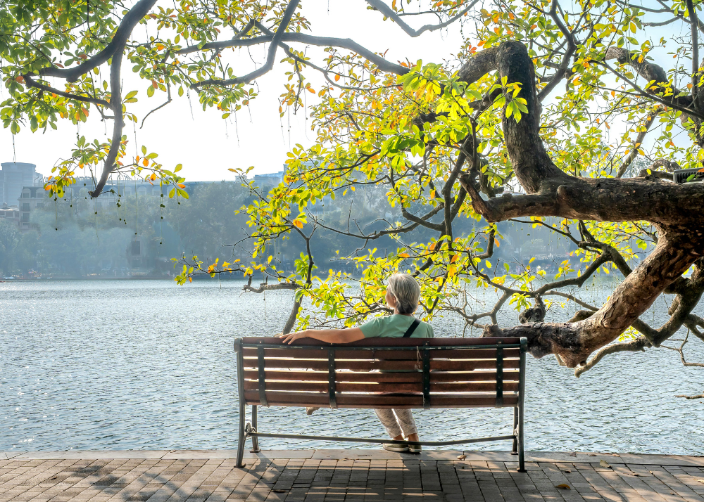 peaceful water scene